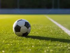 高圆圆涉足,鲜花电商项,成被执行人,Hao,BoSports,好博体育,体育直播,体育赛事,APP下载,官方网地址