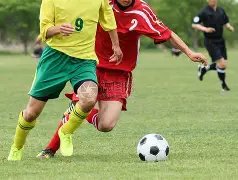 霍建华与火,锅店老板亲,密合影,Hao,BoSports,好博体育,体育直播,体育赛事,APP下载,官方网地址