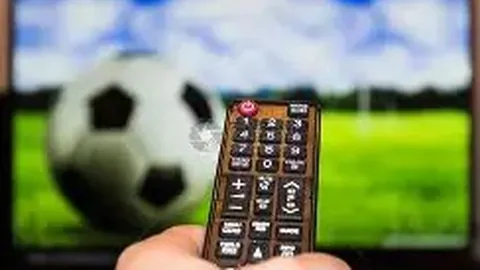 好博体育 资讯 091558 841