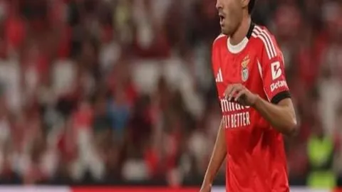 罗甲劲旅8胜7佳迹显著，今战主场能否稳操胜券？